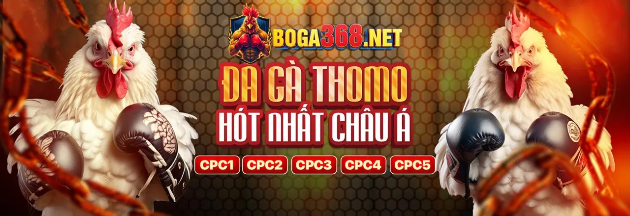 Hình ảnh chính về phương thức thanh toán an toàn tại Bet88 đăng ký