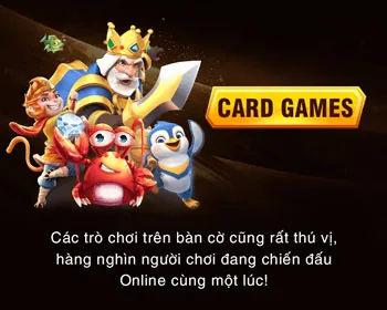 Thông tin chúng tôi thu thập